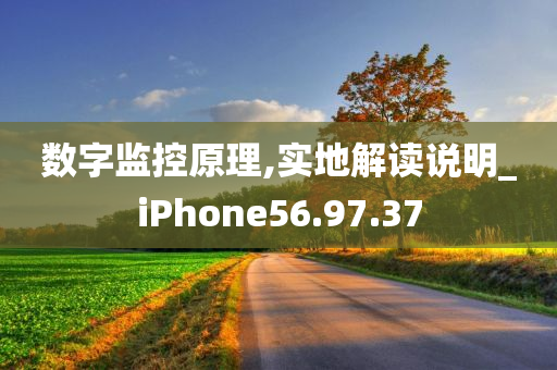 数字监控原理,实地解读说明_iPhone56.97.37