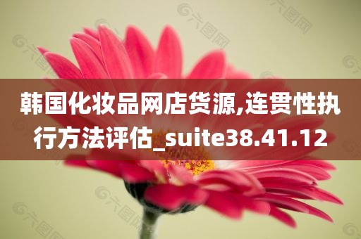 韩国化妆品网店货源,连贯性执行方法评估_suite38.41.12