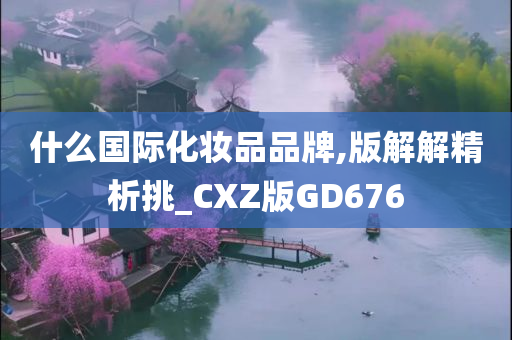 什么国际化妆品品牌,版解解精析挑_CXZ版GD676