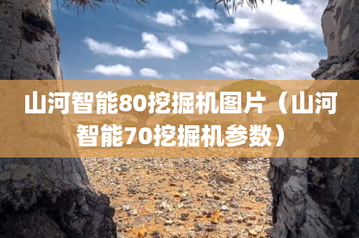 山河智能80挖掘机图片（山河智能70挖掘机参数）