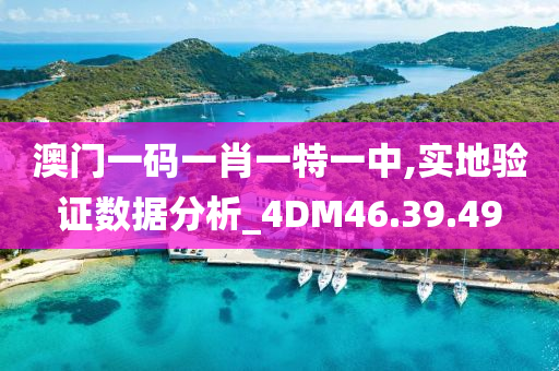 澳门一码一肖一特一中,实地验证数据分析_4DM46.39.49