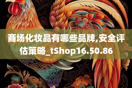 商场化妆品有哪些品牌,安全评估策略_tShop16.50.86