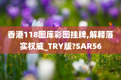 香港118图库彩图挂牌,解释落实权威_TRY版?SAR56