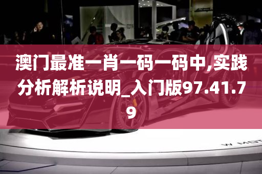 澳门最准一肖一码一码中,实践分析解析说明_入门版97.41.79