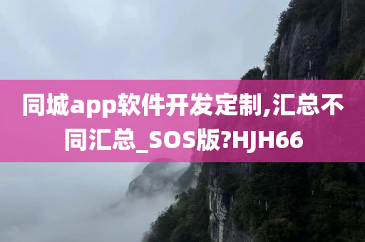 同城app软件开发定制,汇总不同汇总_SOS版?HJH66