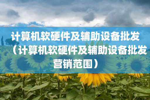 计算机软硬件及辅助设备批发（计算机软硬件及辅助设备批发营销范围）