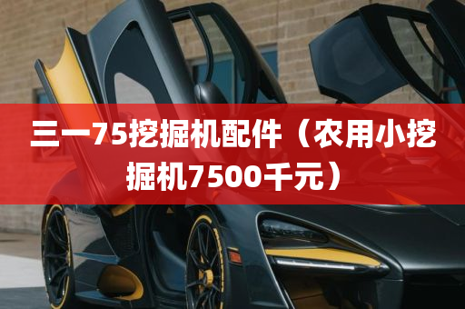 三一75挖掘机配件（农用小挖掘机7500千元）