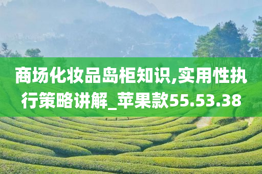 商场化妆品岛柜知识,实用性执行策略讲解_苹果款55.53.38