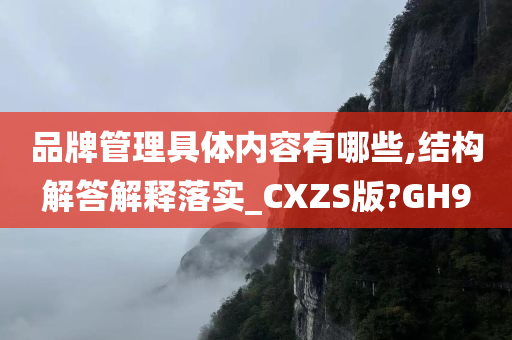 品牌管理具体内容有哪些,结构解答解释落实_CXZS版?GH9