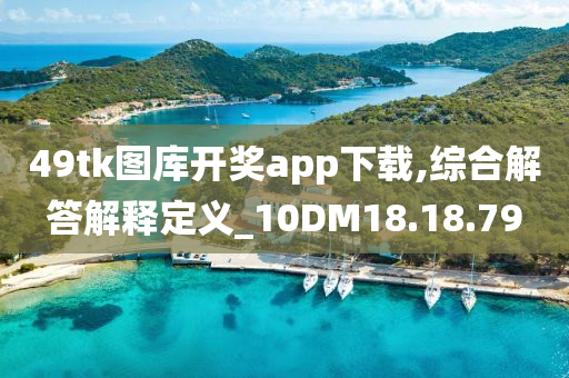 49tk图库开奖app下载,综合解答解释定义_10DM18.18.79