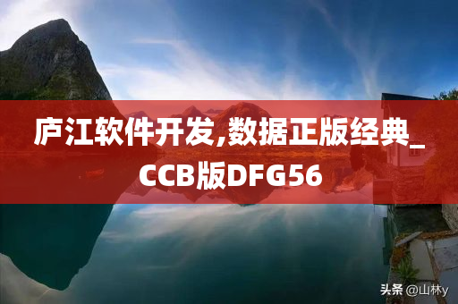 庐江软件开发,数据正版经典_CCB版DFG56