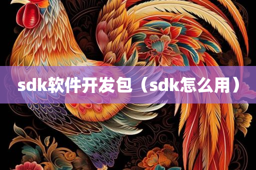 sdk软件开发包（sdk怎么用）