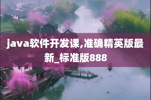 java软件开发课,准确精英版最新_标准版888