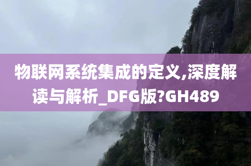 物联网系统集成的定义,深度解读与解析_DFG版?GH489