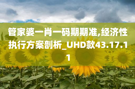 管家婆一肖一码期期准,经济性执行方案剖析_UHD款43.17.11