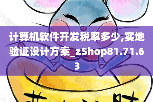 计算机软件开发税率多少,实地验证设计方案_zShop81.71.63