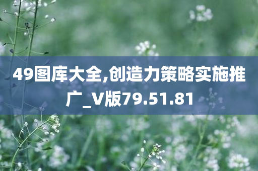 49图库大全,创造力策略实施推广_V版79.51.81