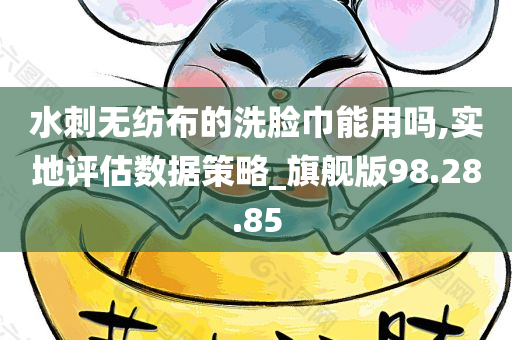 水刺无纺布的洗脸巾能用吗,实地评估数据策略_旗舰版98.28.85