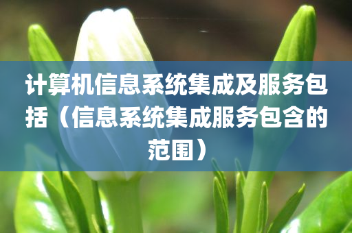 计算机信息系统集成及服务包括（信息系统集成服务包含的范围）