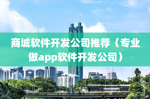 商城软件开发公司推荐（专业做app软件开发公司）