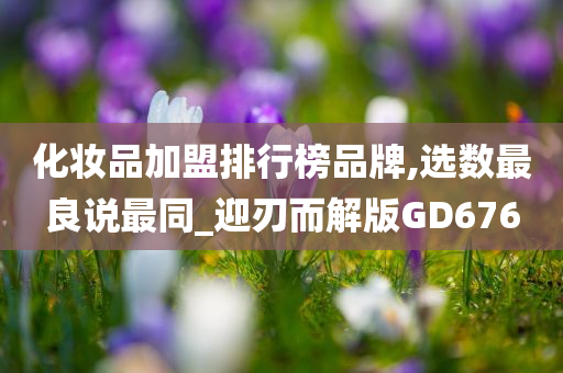 化妆品加盟排行榜品牌,选数最良说最同_迎刃而解版GD676