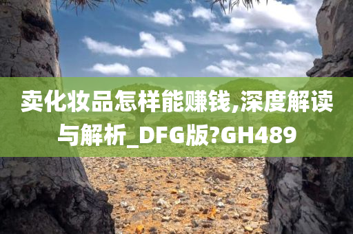 卖化妆品怎样能赚钱,深度解读与解析_DFG版?GH489