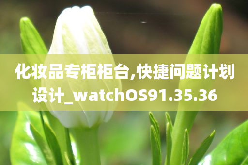 化妆品专柜柜台,快捷问题计划设计_watchOS91.35.36