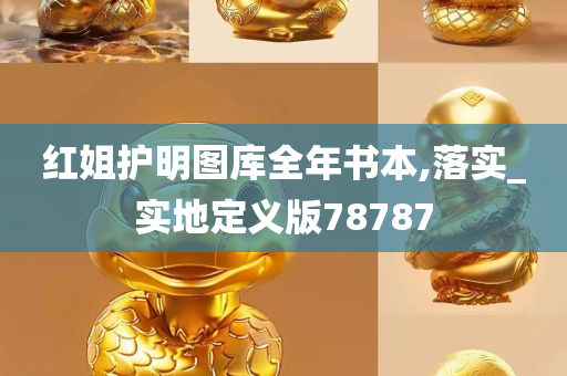 红姐护明图库全年书本,落实_实地定义版78787