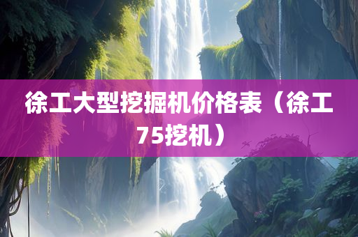 徐工大型挖掘机价格表（徐工75挖机）