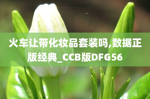 火车让带化妆品套装吗,数据正版经典_CCB版DFG56