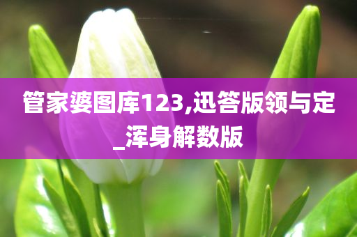 管家婆图库123,迅答版领与定_浑身解数版