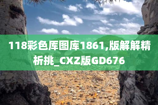 118彩色厍图库1861,版解解精析挑_CXZ版GD676