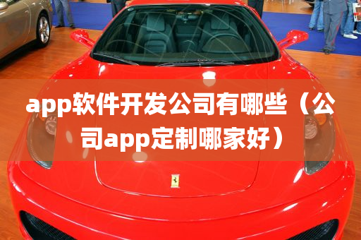 app软件开发公司有哪些（公司app定制哪家好）