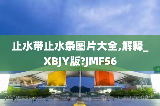 止水带止水条图片大全,解释_XBJY版?JMF56