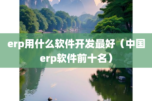 erp用什么软件开发最好（中国erp软件前十名）