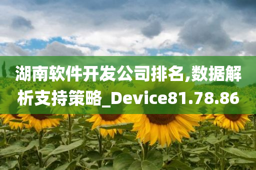 湖南软件开发公司排名,数据解析支持策略_Device81.78.86