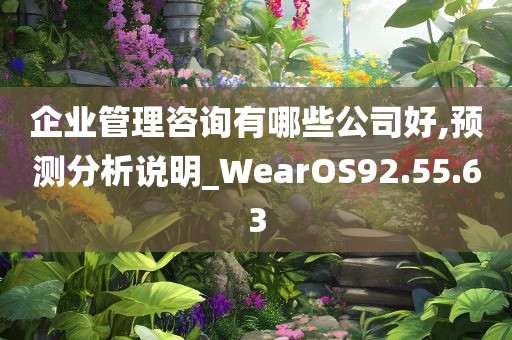 企业管理咨询有哪些公司好,预测分析说明_WearOS92.55.63