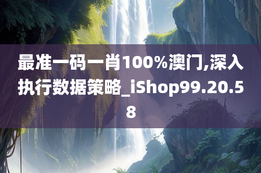 最准一码一肖100%澳门,深入执行数据策略_iShop99.20.58