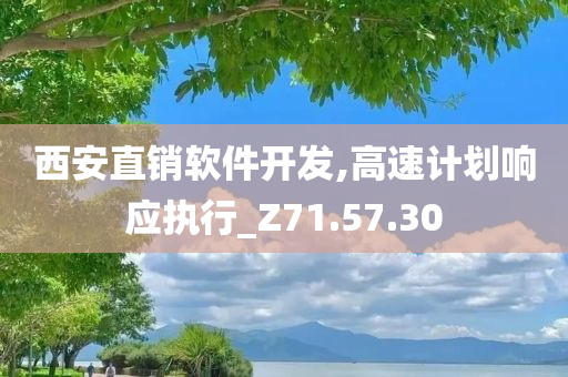 西安直销软件开发,高速计划响应执行_Z71.57.30