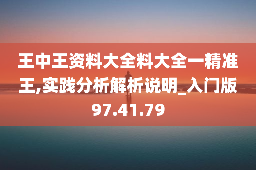 王中王资料大全料大全一精准王,实践分析解析说明_入门版97.41.79