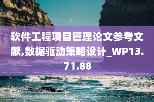 软件工程项目管理论文参考文献,数据驱动策略设计_WP13.71.88