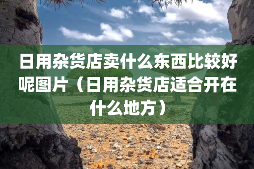 日用杂货店卖什么东西比较好呢图片（日用杂货店适合开在什么地方）