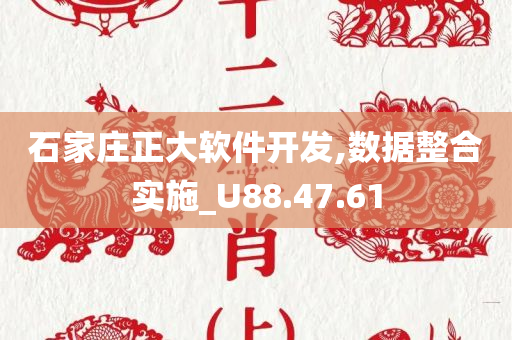 石家庄正大软件开发,数据整合实施_U88.47.61