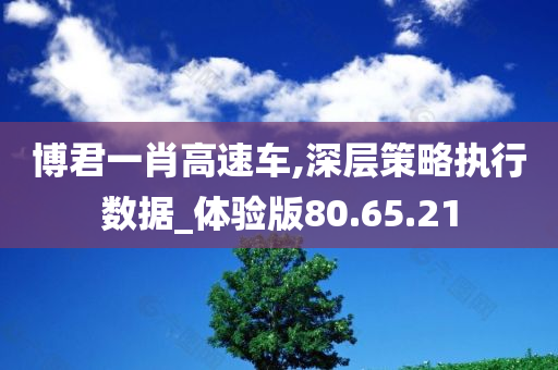 博君一肖高速车,深层策略执行数据_体验版80.65.21