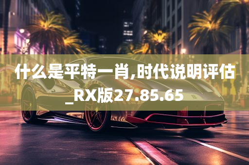 什么是平特一肖,时代说明评估_RX版27.85.65