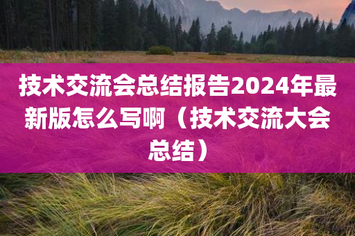 技术交流会总结报告2024年最新版怎么写啊（技术交流大会总结）