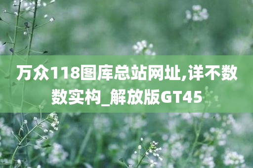 万众118图库总站网址,详不数数实构_解放版GT45