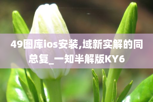 49图库ios安装,域新实解的同总复_一知半解版KY6