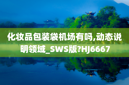 化妆品包装袋机场有吗,动态说明领域_SWS版?HJ6667