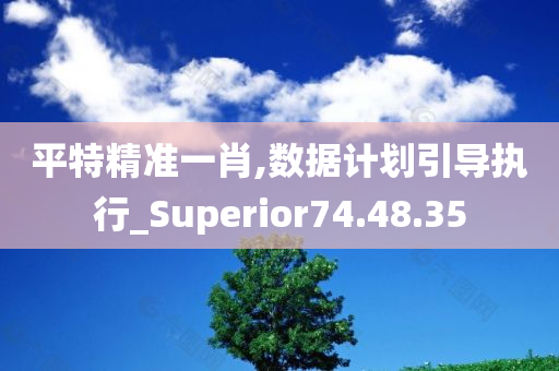 平特精准一肖,数据计划引导执行_Superior74.48.35